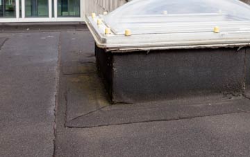 disadvantages of Pont Walby flat roofs