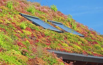 Pont Walby living roof systems